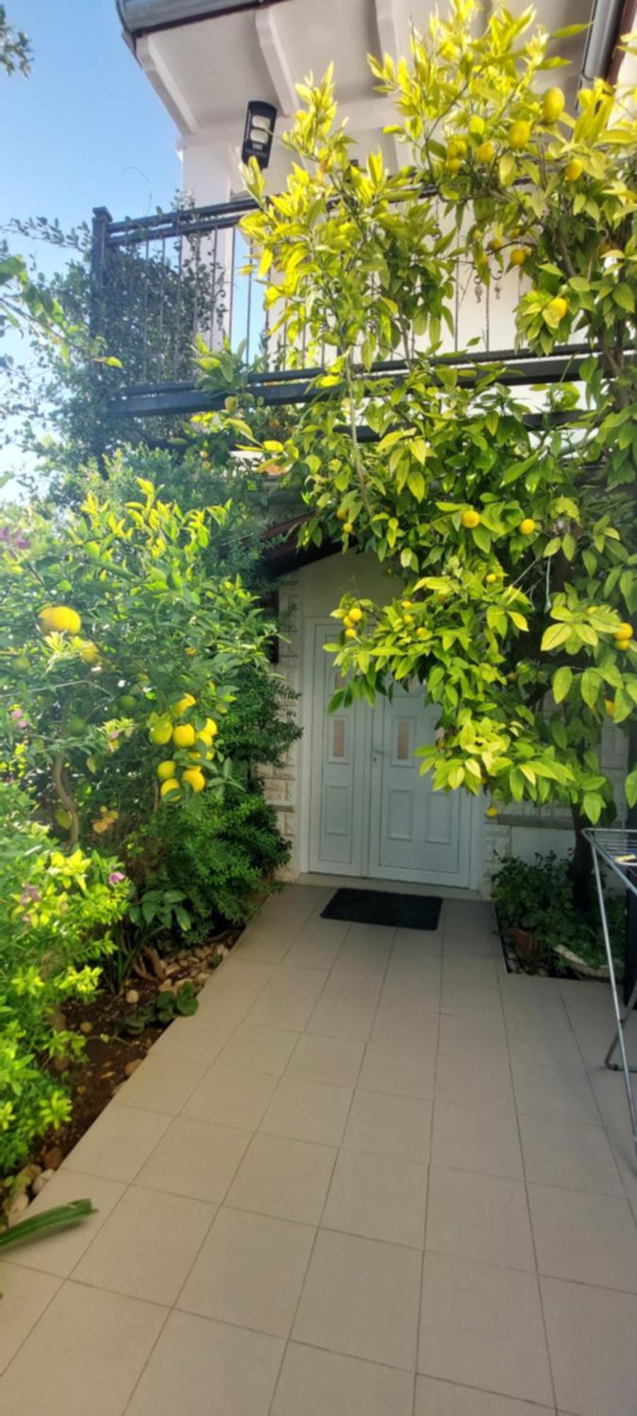 Apartmani Tinka 斯塔利格拉德-帕克利尼卡 外观 照片